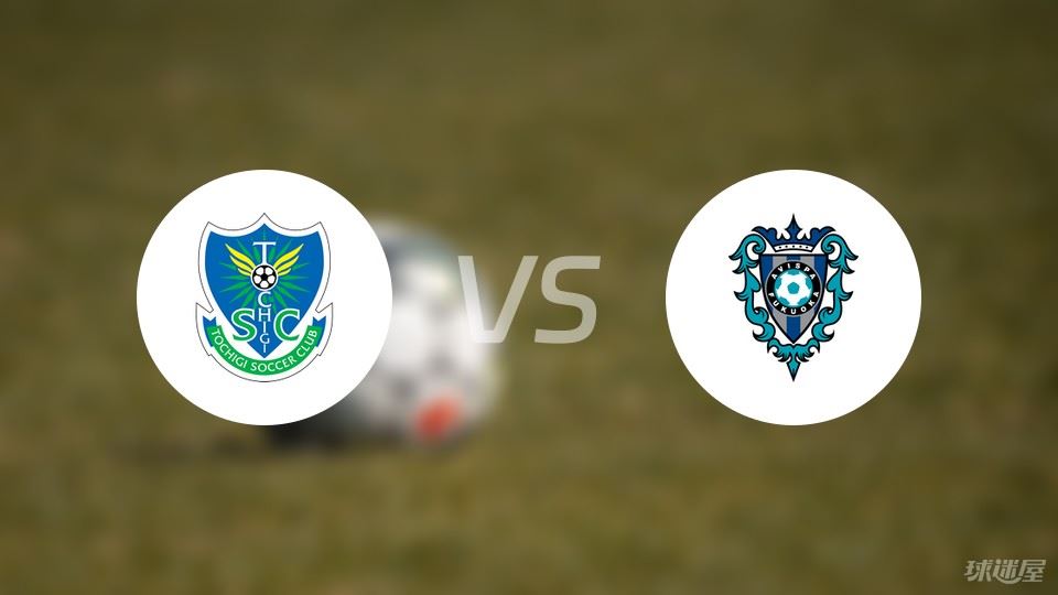 枥木SCvs福冈黄蜂比赛结果