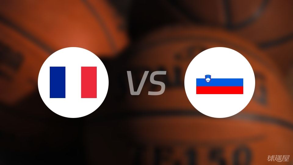 法国vs斯洛文尼亚回放