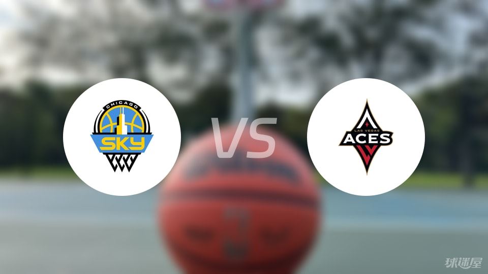 天空vs王牌伤病