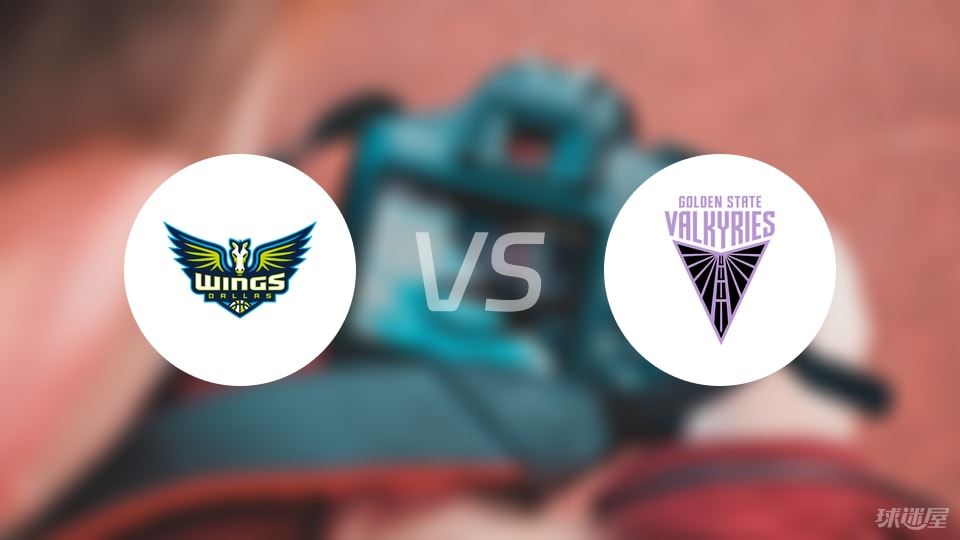 飞翼vs女武神回放